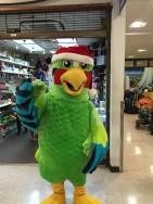 Thales selected by Cayman Islands Airports Authority to modernize and upgrade its air traffic control infrastructure