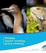 Thales selected by Cayman Islands Airports Authority to modernize and upgrade its air traffic control infrastructure