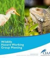 Thales selected by Cayman Islands Airports Authority to modernize and upgrade its air traffic control infrastructure