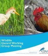 Thales selected by Cayman Islands Airports Authority to modernize and upgrade its air traffic control infrastructure