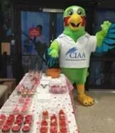 Thales selected by Cayman Islands Airports Authority to modernize and upgrade its air traffic control infrastructure