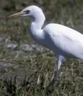 Thales selected by Cayman Islands Airports Authority to modernize and upgrade its air traffic control infrastructure