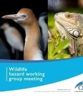 Thales selected by Cayman Islands Airports Authority to modernize and upgrade its air traffic control infrastructure