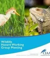 Thales selected by Cayman Islands Airports Authority to modernize and upgrade its air traffic control infrastructure